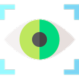 vision